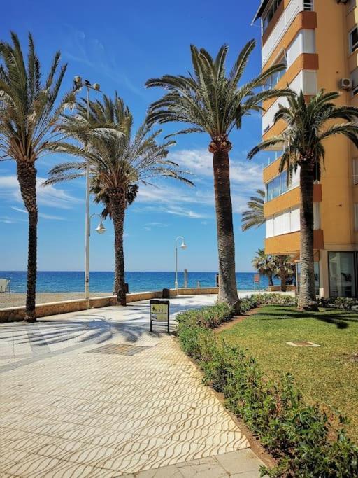 Estudio Algarrobo Costa Bagian luar foto
